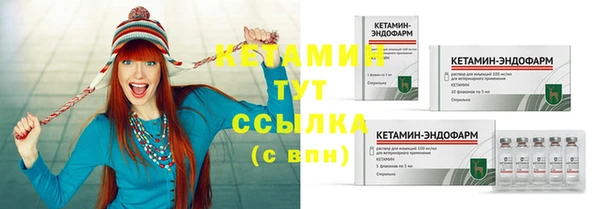 гидра Абаза