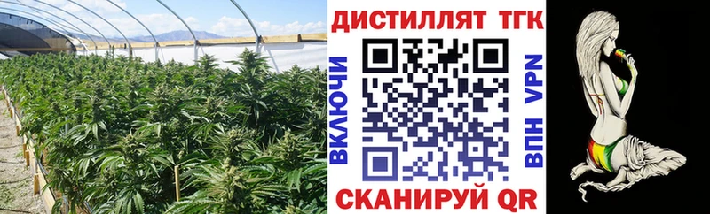 Дистиллят ТГК вейп с тгк  OMG ONION  Анжеро-Судженск 